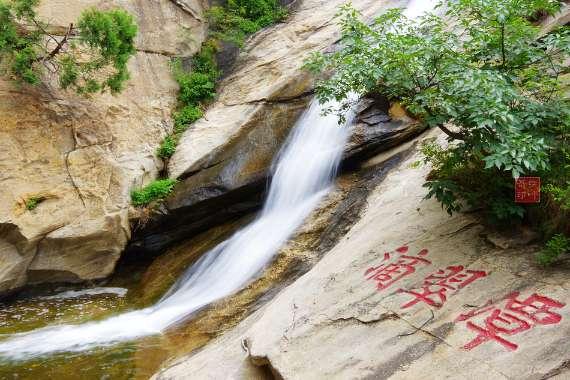 漆黑的森林逃脱
